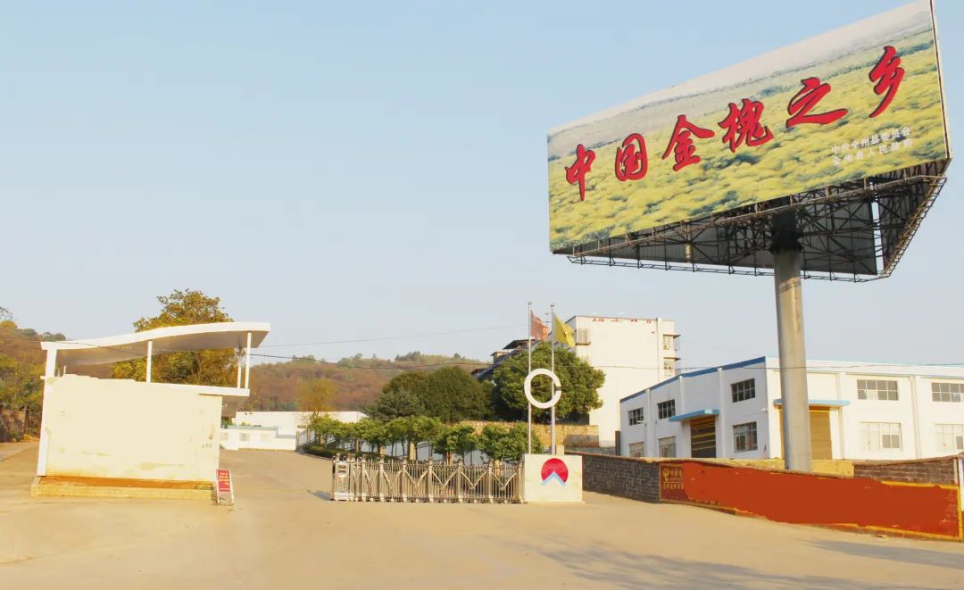 广西被称为中国荔枝之乡是哪个市,广西为何称为八桂之乡