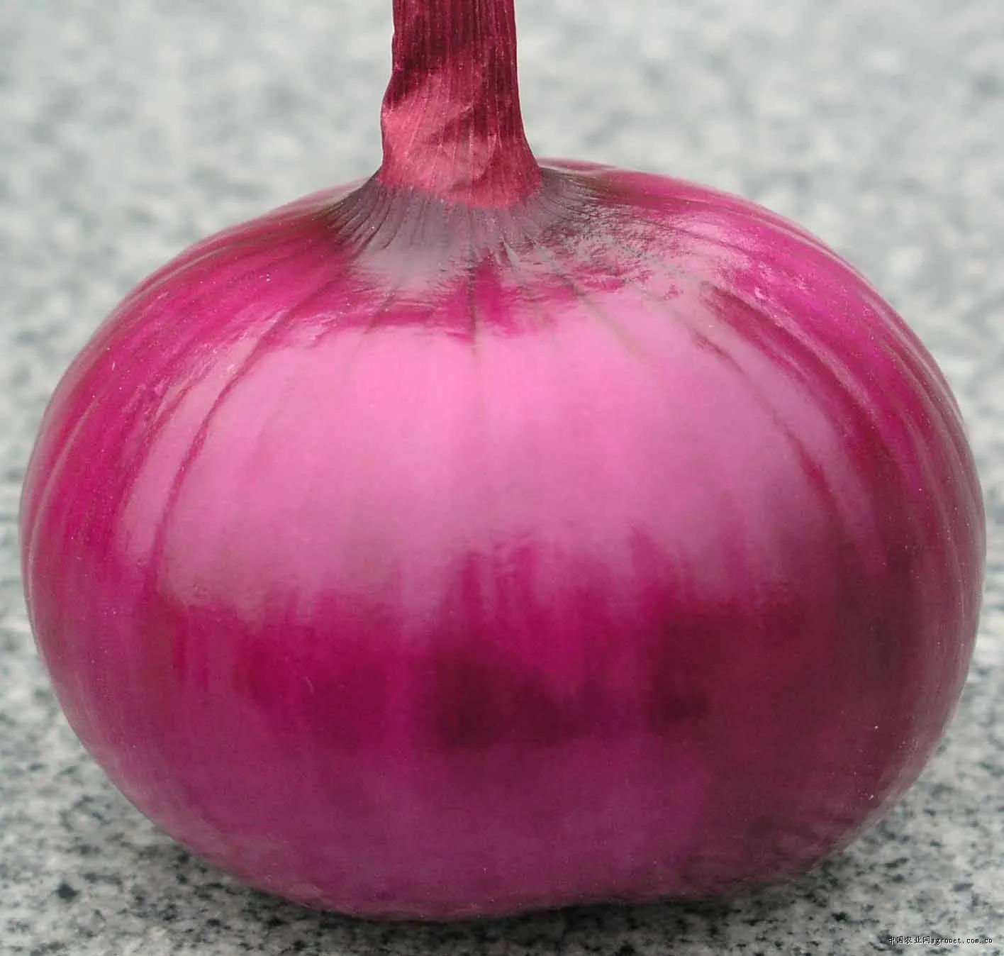 一年四季的时令蔬菜,一年四季的时令水果大全