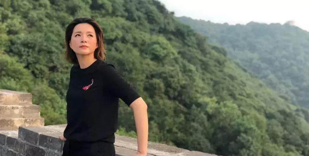 央视娱乐节目主持人董卿是哪里人,人生娱乐视频