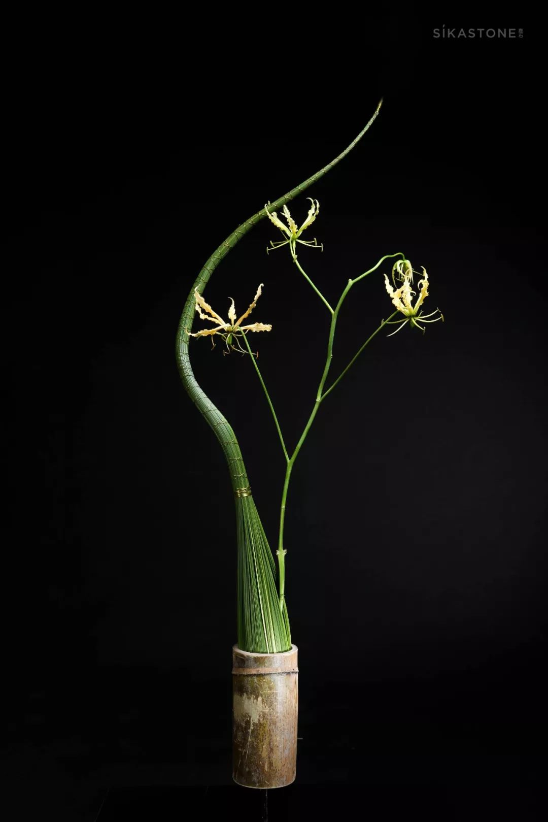 什么是真正的架构,架构思维方法