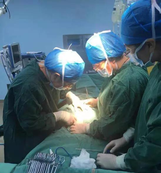 感动式服务医患,用心服务温馨相伴