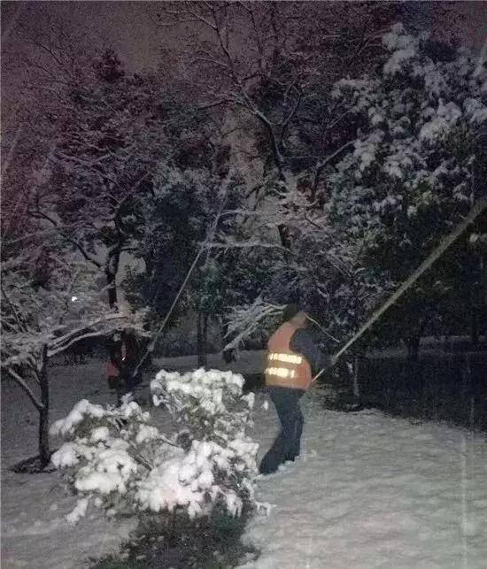 萧山天气小雪,萧山大雪