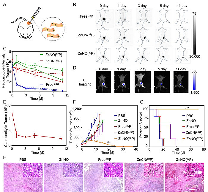 刘庄团队:自激发二维纳米材料,增强核素-免疫联合治疗
