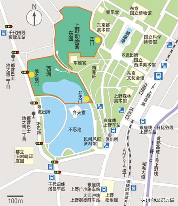 东京旅游必去迪士尼,东京旅游推荐去哪个岛