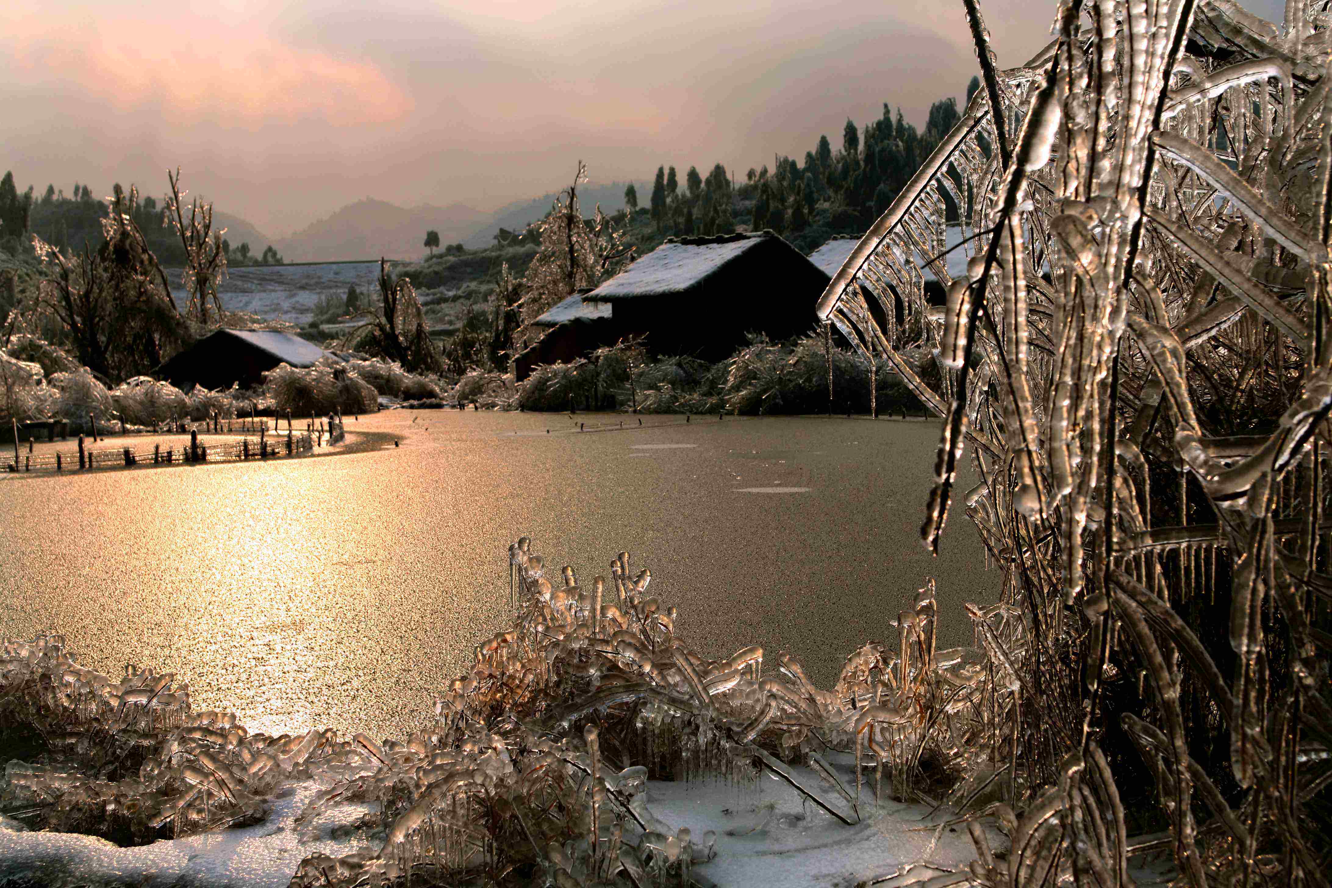 梁实秋雅舍全集,梁实秋雅舍解读