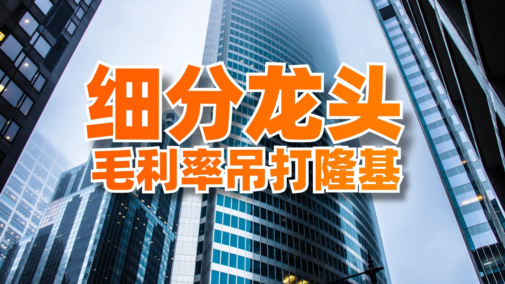 毛利率远高于同行企业的企业案例,宁德时代对比隆基股份