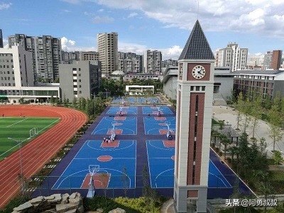 全国名校附中,云南师范大学附属中学全国排名