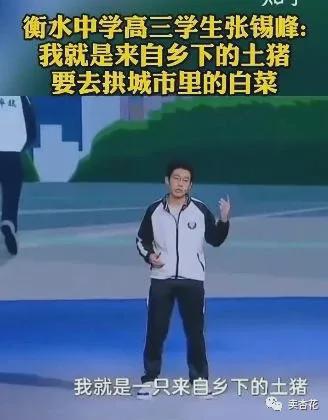 土猪拱白菜被骂句子,土猪拱白菜咬牙切齿