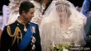 查尔斯王子为什么不爱戴安娜王妃,查尔斯王子与戴安娜关系