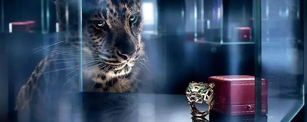 香港必逛的10条购物街,从深圳出发暴走香港攻略