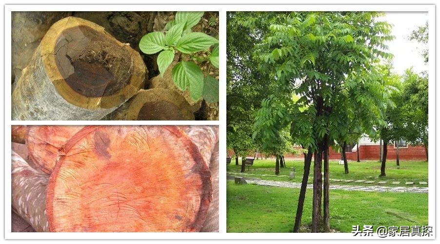 新中式家具选择购买技巧,现在新中式家具一般用什么木材