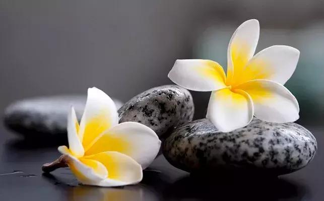 如何改变认知和思维模式,如何改变心智模式来改变人生