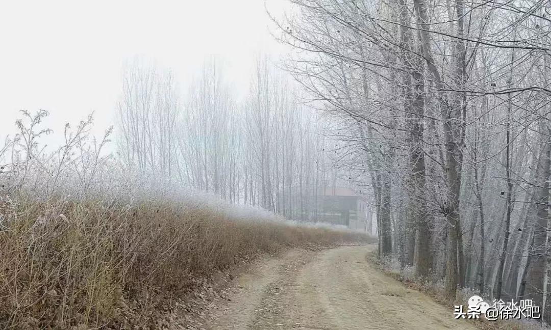 「徐水映像」换个角度看保定徐水,美