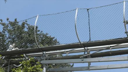 湖南周边2-3天自驾旅游推荐,长沙一日游玩最佳地方岳麓山