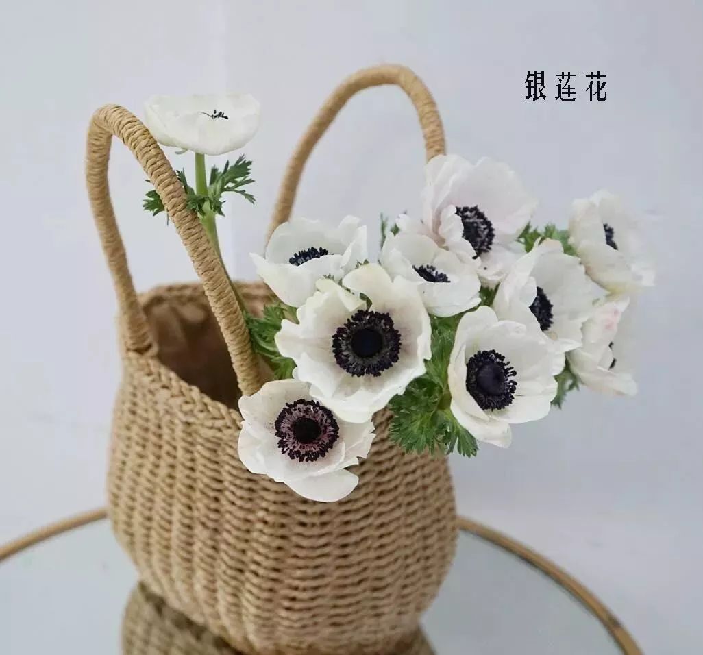 花店里同款的两种不同价格的花材,花店最容易被顾客误解的几种花材