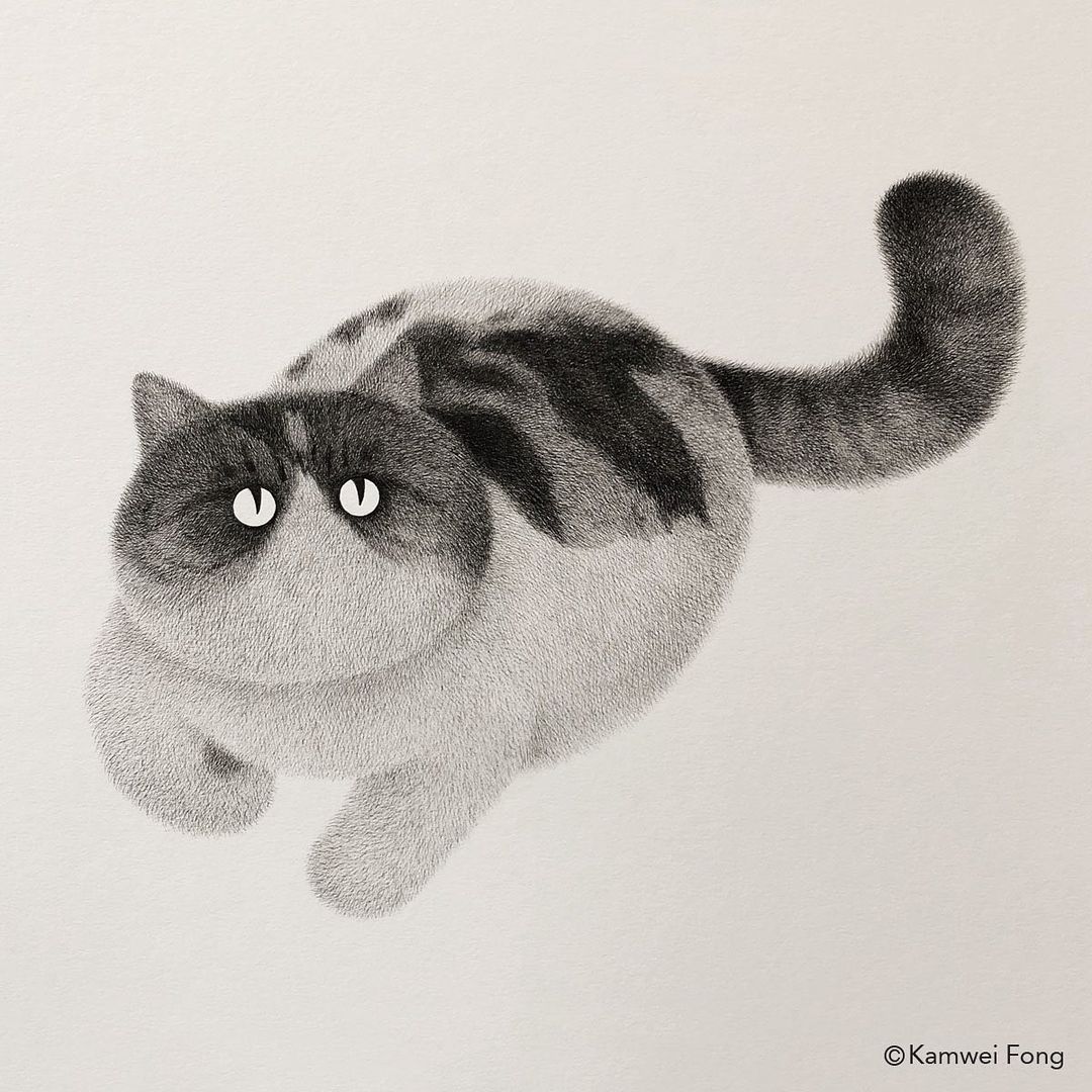 毛茸茸的手绘猫,可爱黑白手绘猫咪