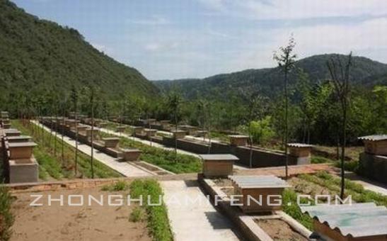 合理补脾,合理增肌同时减脂