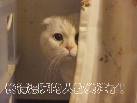 讲真，仙女的夏天全靠无钢圈内衣续命