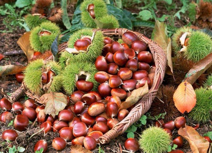 板栗怎么炒好吃板栗去壳妙招,生板栗快速去壳