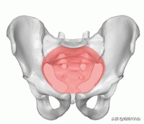 剖宫产还是顺产，该由谁做选择？
