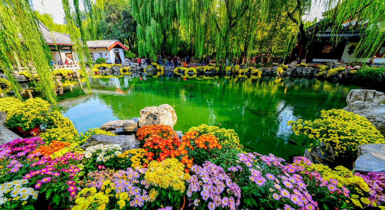 趵突泉诗赵孟頫创作背景,赵孟頫的趵突泉诗