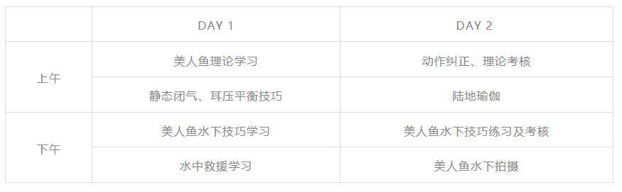只要你愿意，就能圆你一个人鱼公主梦|美人鱼系列课程