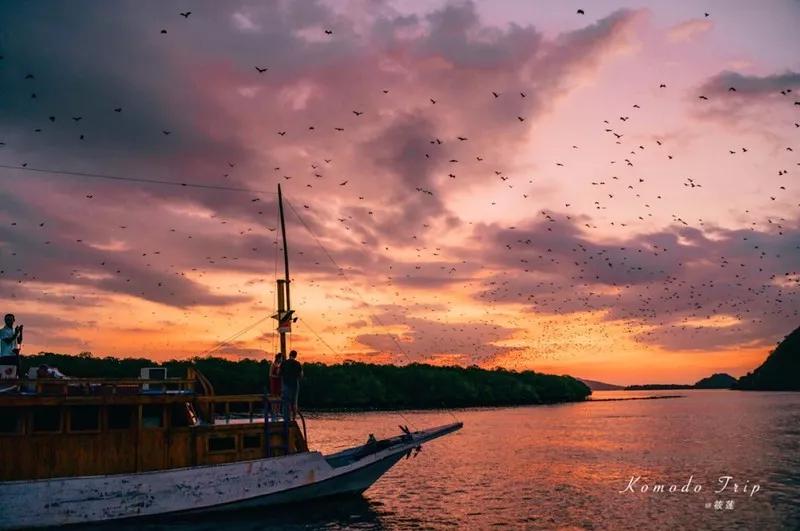 印尼巴厘岛有什么值得去的地方,印尼海岛巴厘岛