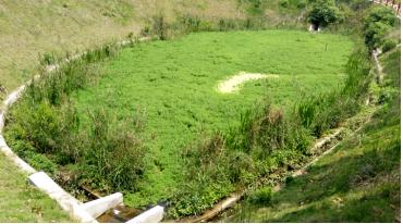 青蛙住“宾馆”，农田会呼吸，这个村发生了啥？