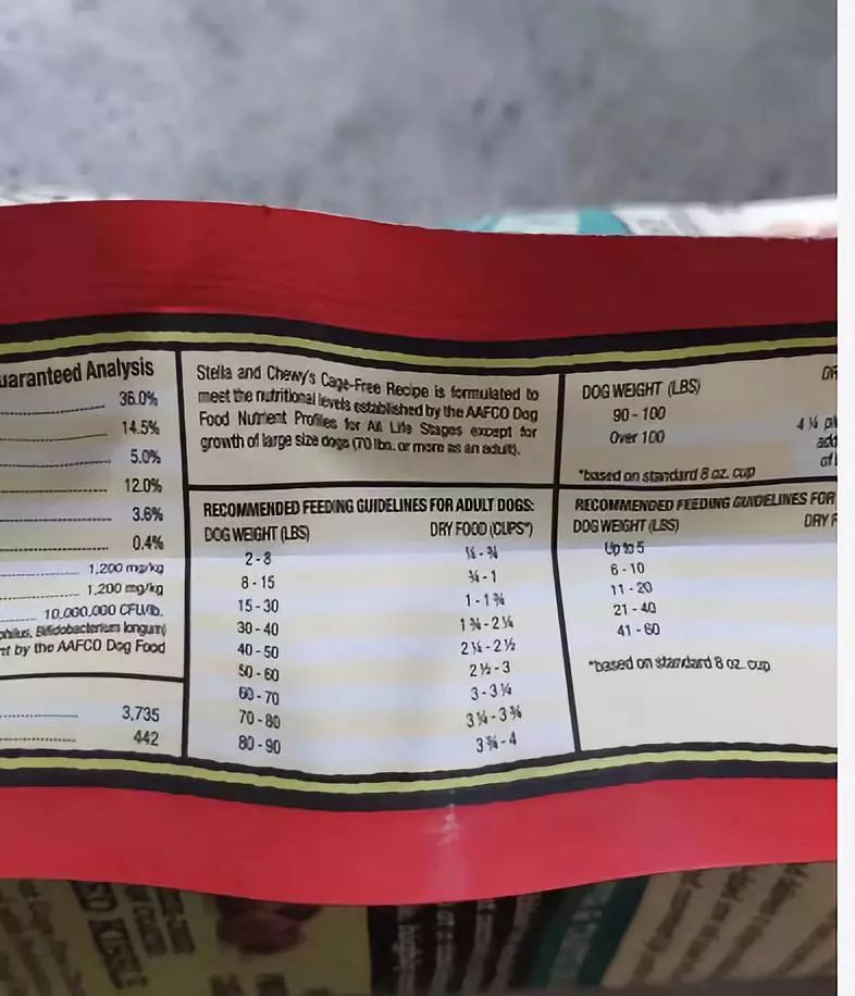 家有狗子,家有狗子视频完整版