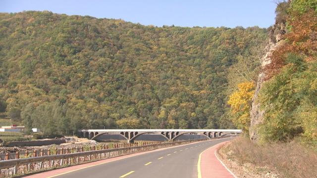 抚松县原始森林,吉林抚松森林