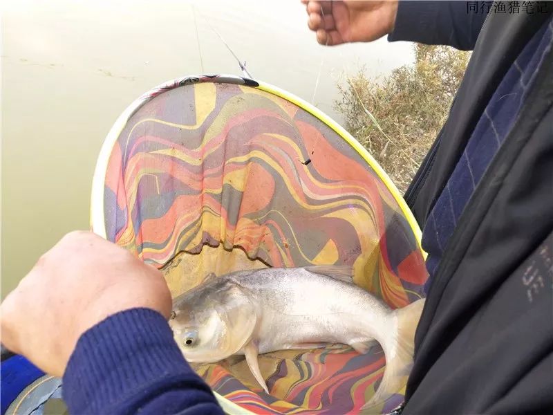 钓鱼笔记1,钓鱼笔记最新视频