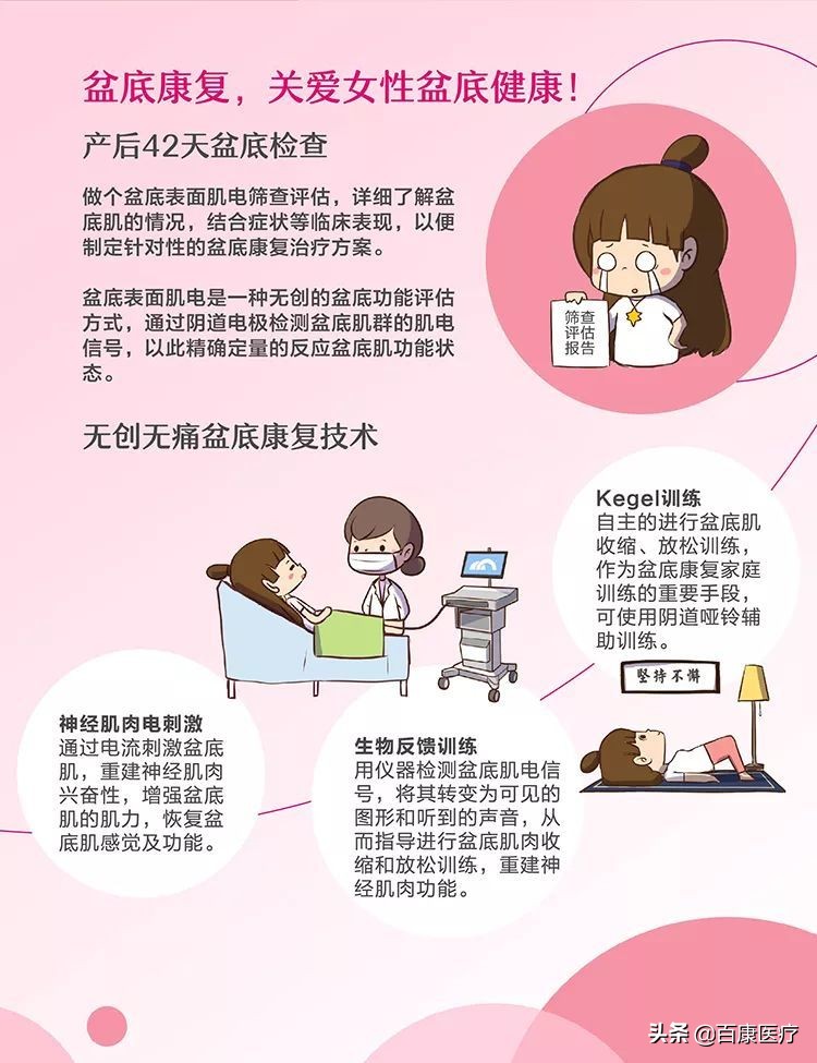 科普视频盆底肌康复训练,盆底肌医学讲解