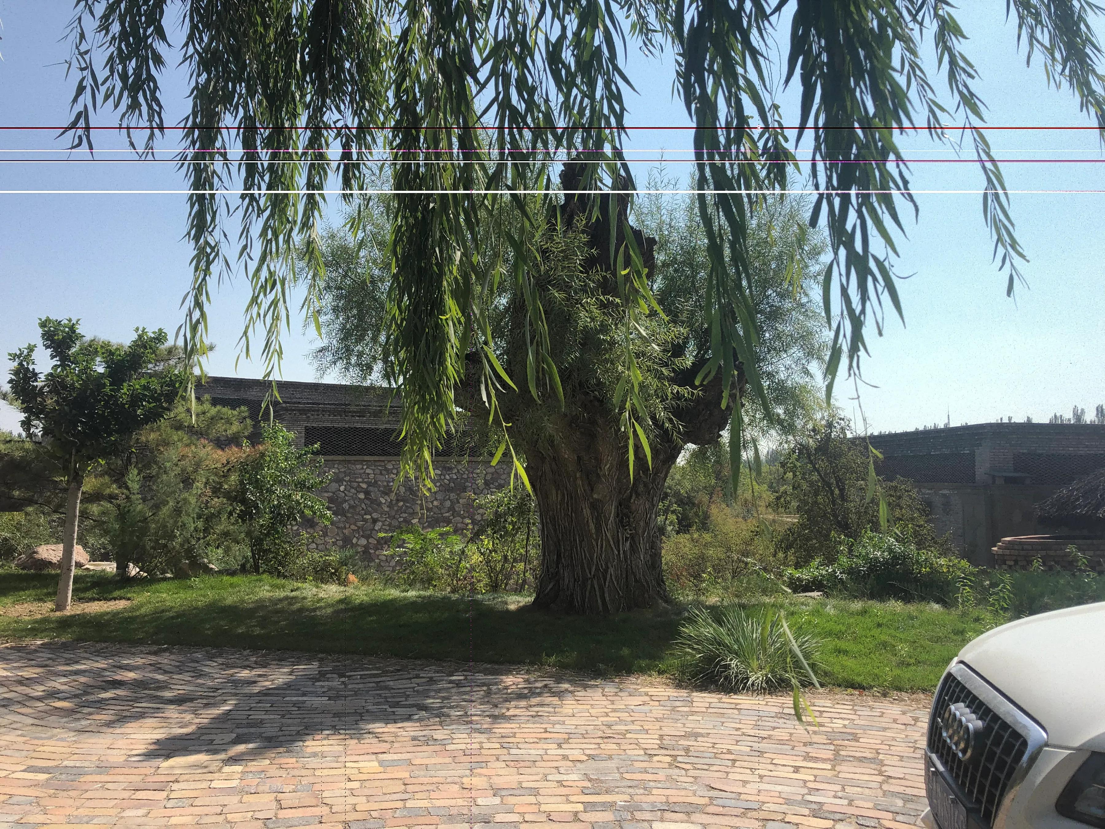 瘦驴拉硬屎意味着什么,瘦驴拉硬屎怎么回事