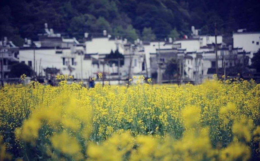 皖南旅游攻略自驾四日游最佳路线,皖南自驾游大环线攻略最佳线路