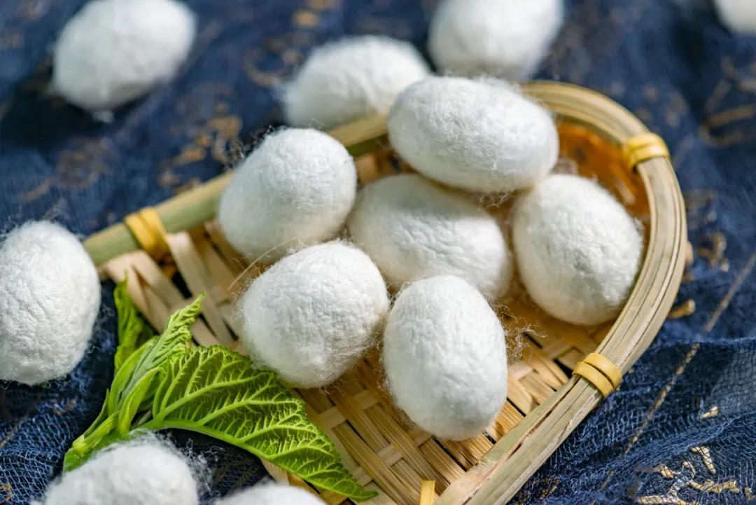 梦洁66年历史,梦洁最高档品牌