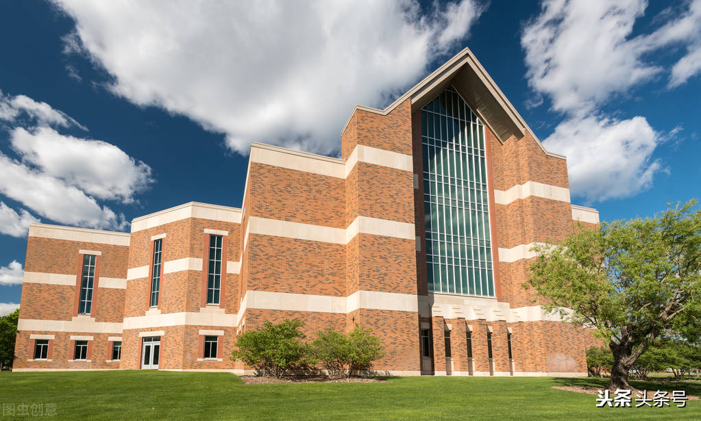 小学生写我的校园,五年级作文我的校园520个字