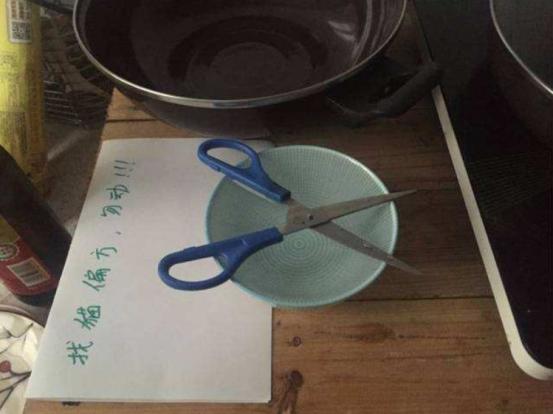 猫咪丢了最快找猫咪的方法,找回猫咪后应该怎么办