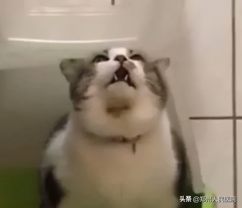 吃酵素治便秘小心患上结肠黑变病,吃酵素蛇皮肠