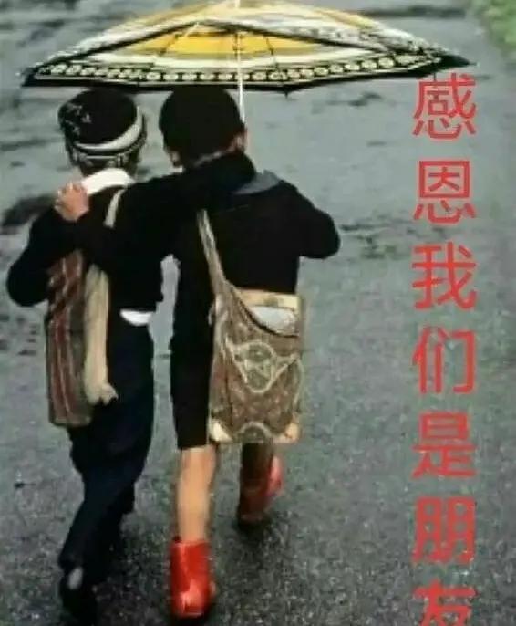 问好表情包｜我喜欢你，像日月轮流交替，不理朝夕