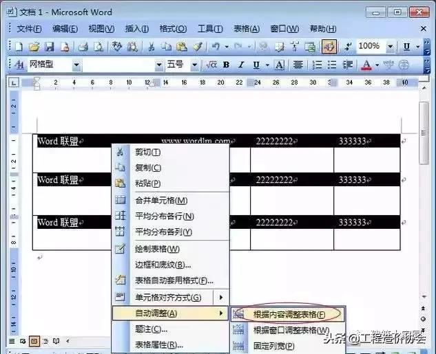 word文档表格文字调整,word表格怎么调整位置