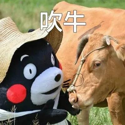 有个堂哥特别爱吹牛,堂哥喜欢吹牛