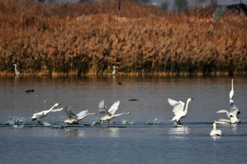 行走中国宁夏,行走在宁夏