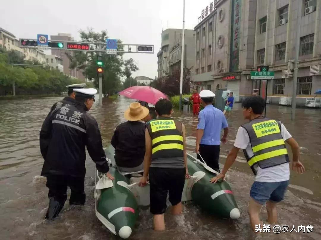 廊坊这11个公益组织了不起！身边藏着这么多“雷锋”！