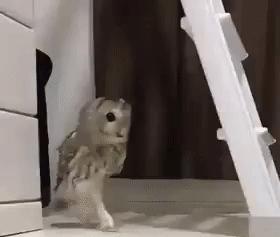 冬季10大酷刑,冬天的几大酷刑