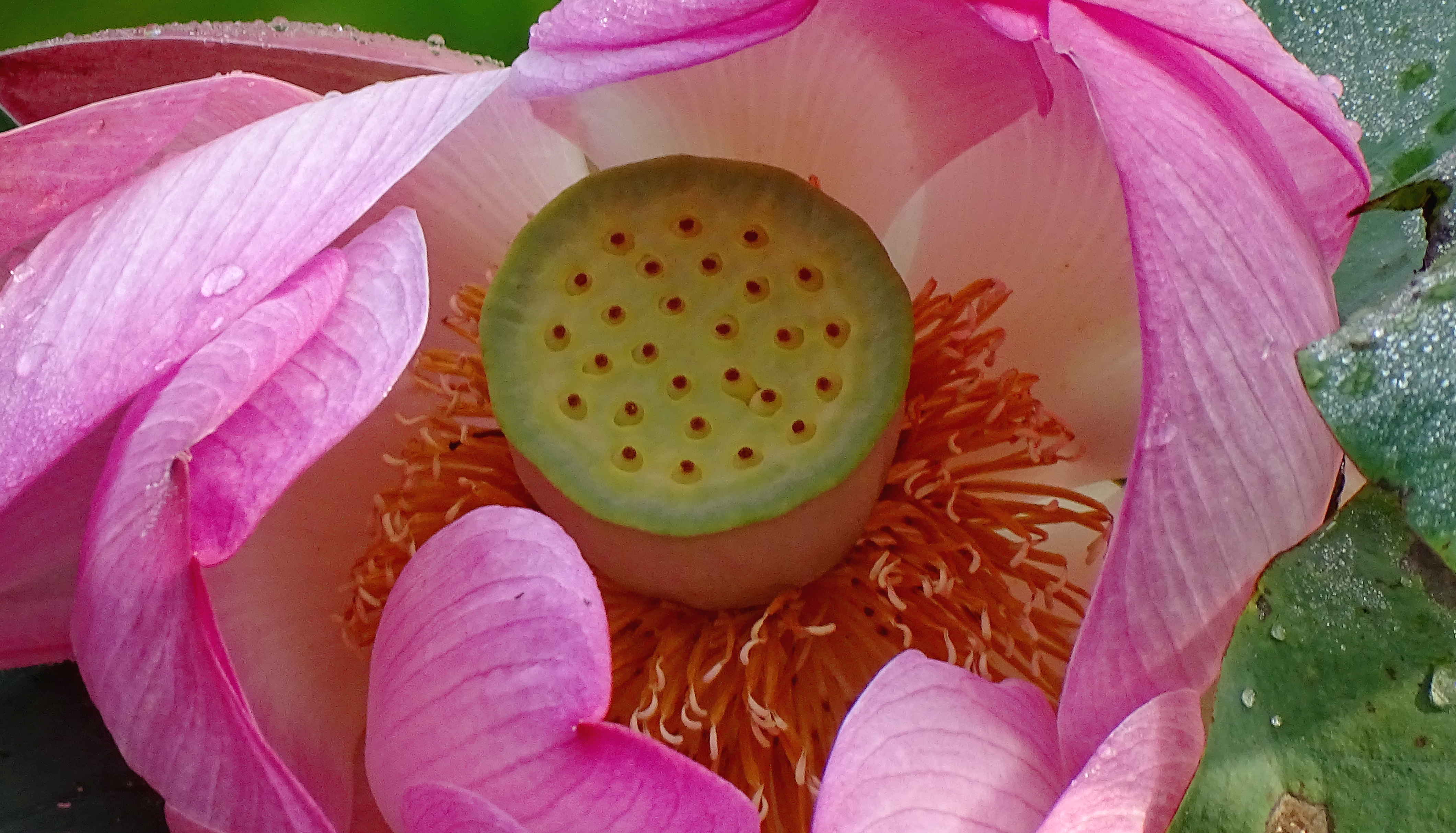 索尼dsc-hx400拍飞机效果,索尼dsc-hx400照片调色