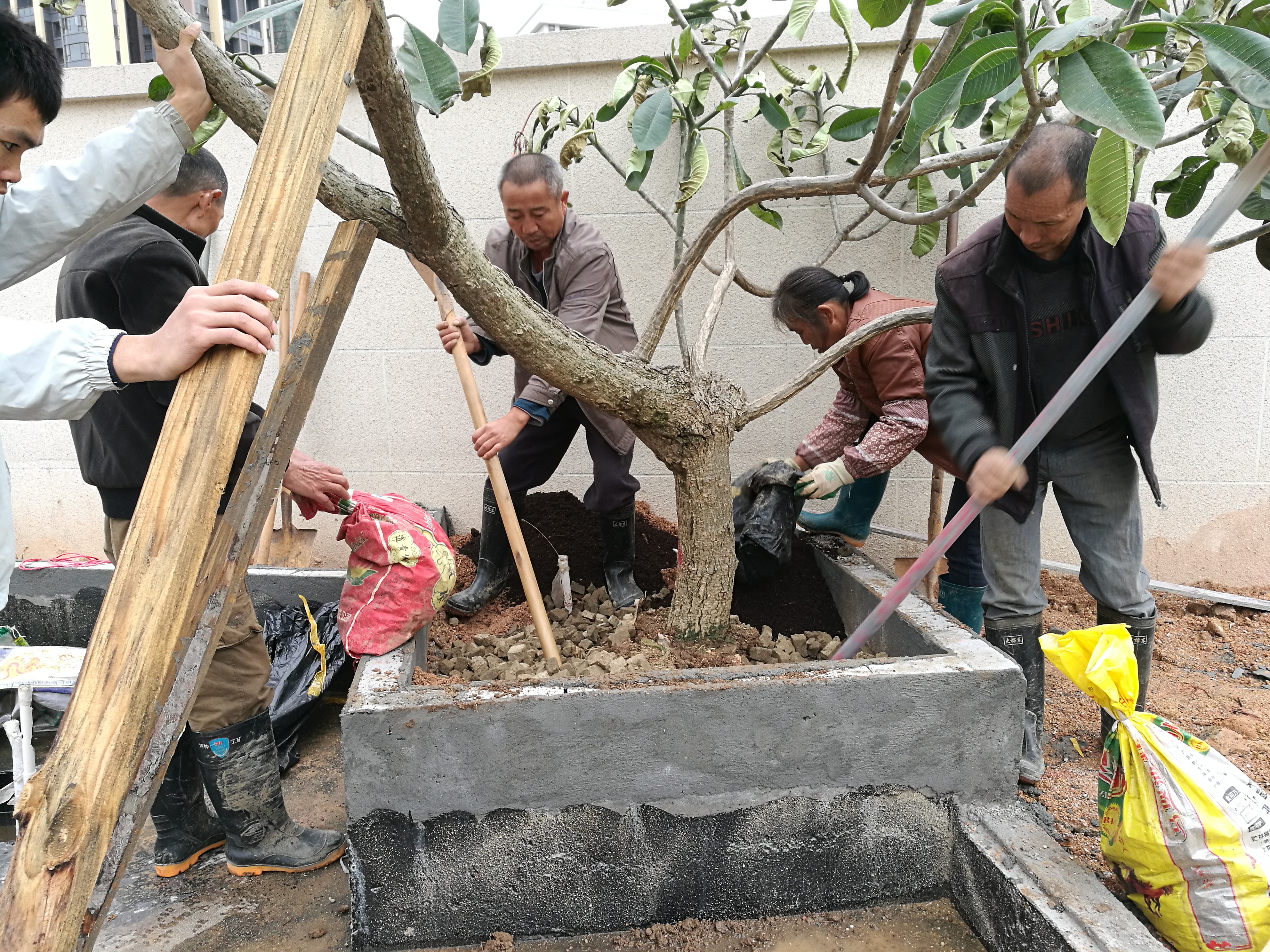 庭院造价明细表,庭院景观预算造价怎么算