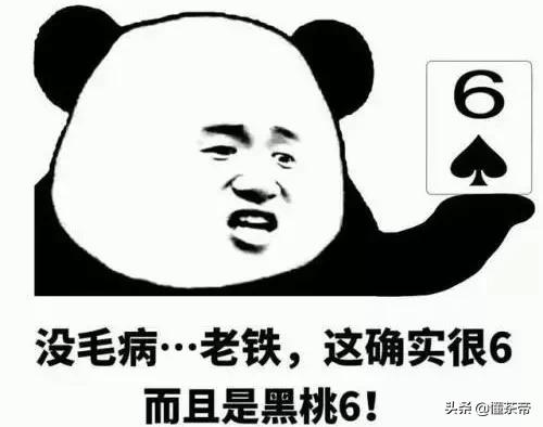 这些茶名字不同,但都是同一款茶,太多茶友弄混