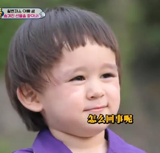 考驾照到底有多难科目一,考驾照有多难