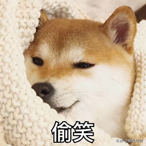 买华为只买mate系列,买华为手机只能买套装