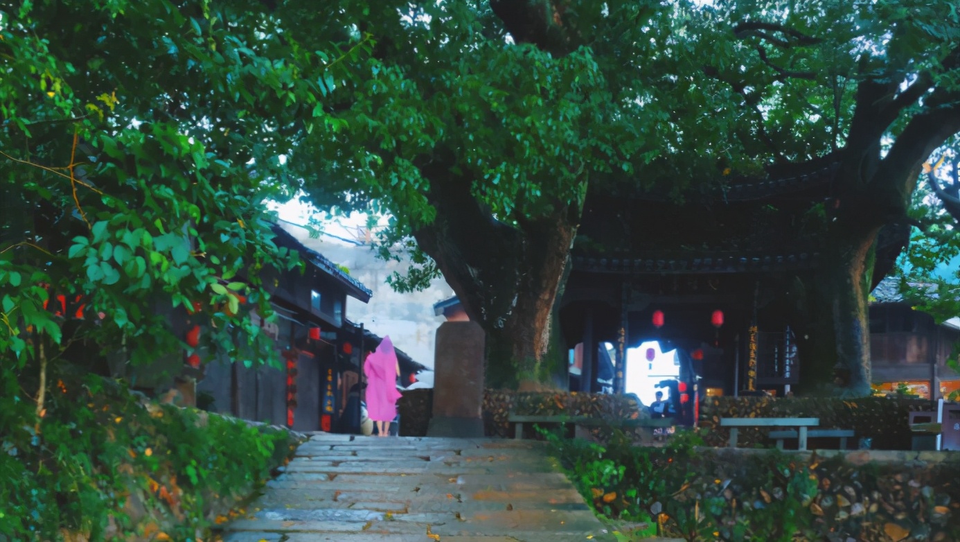 丽水上热搜,浙江丽水现萤火虫星海